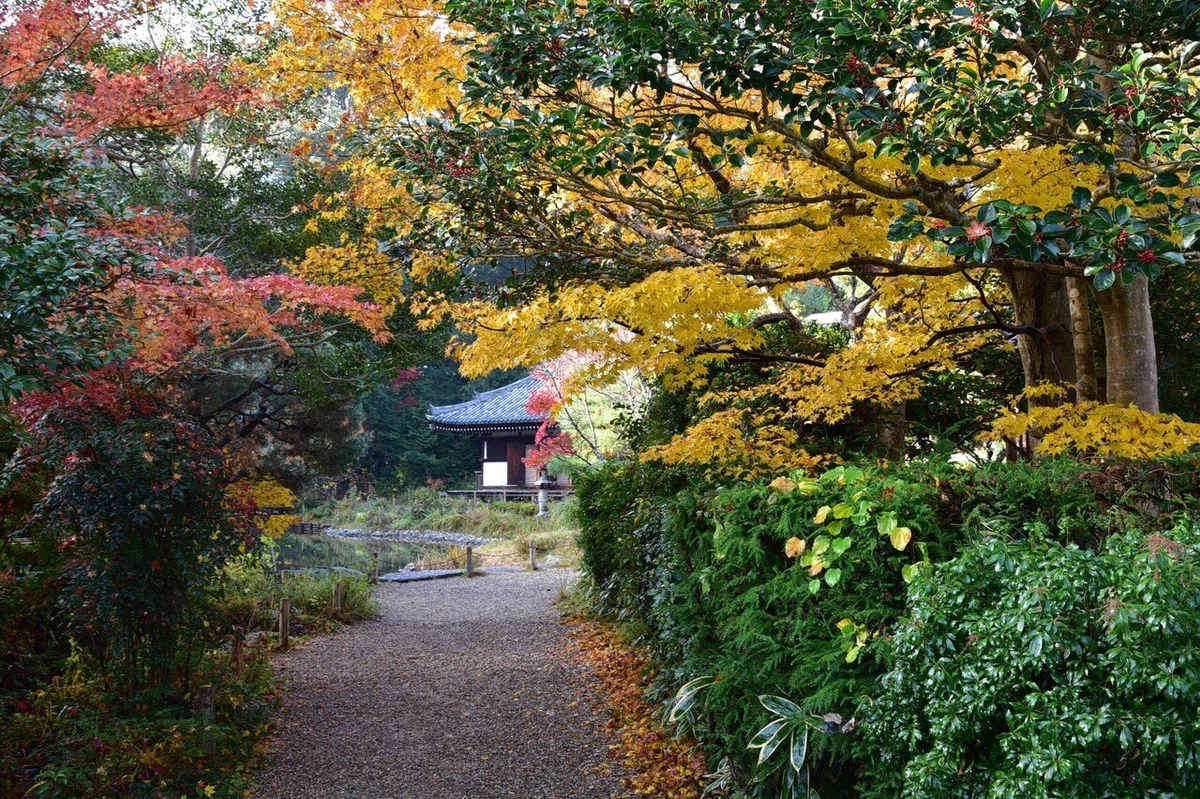 画像8