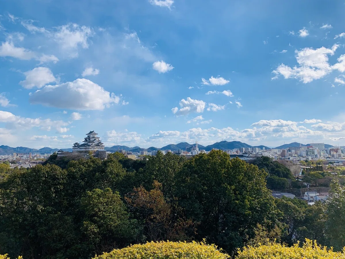 画像6