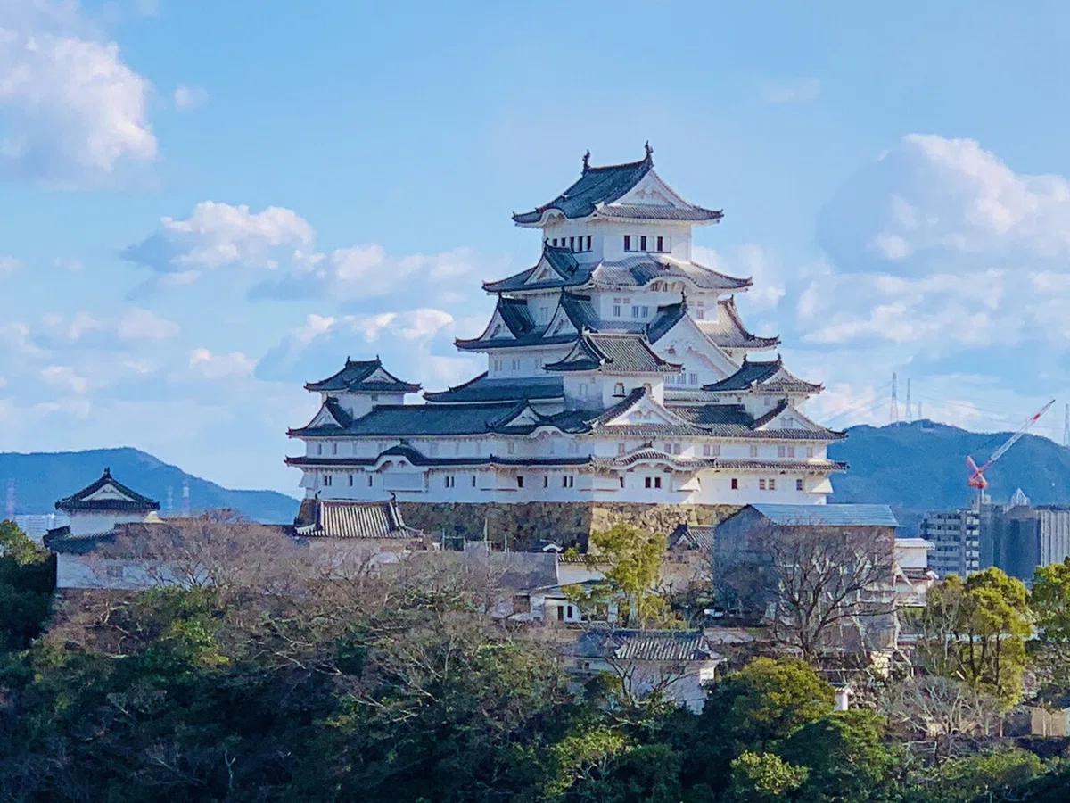 画像7