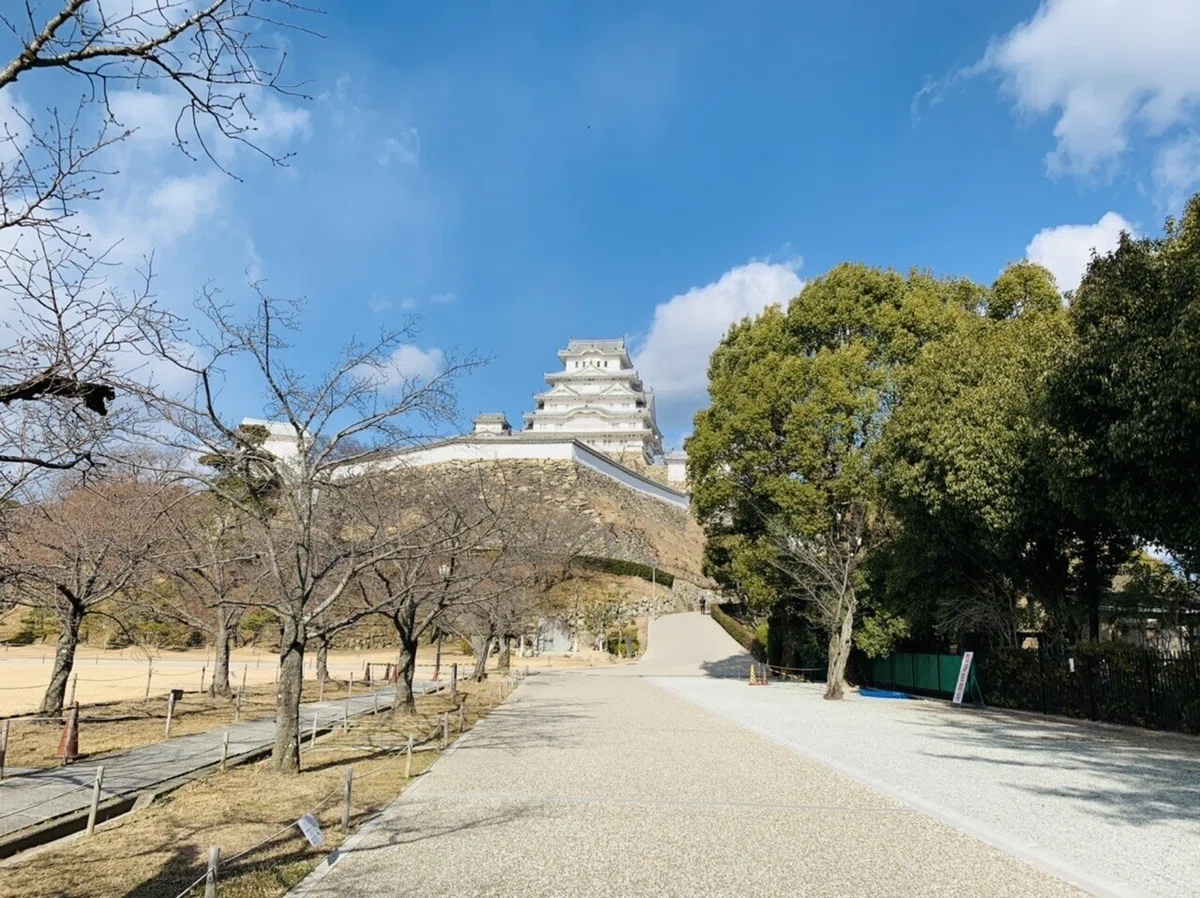 画像13