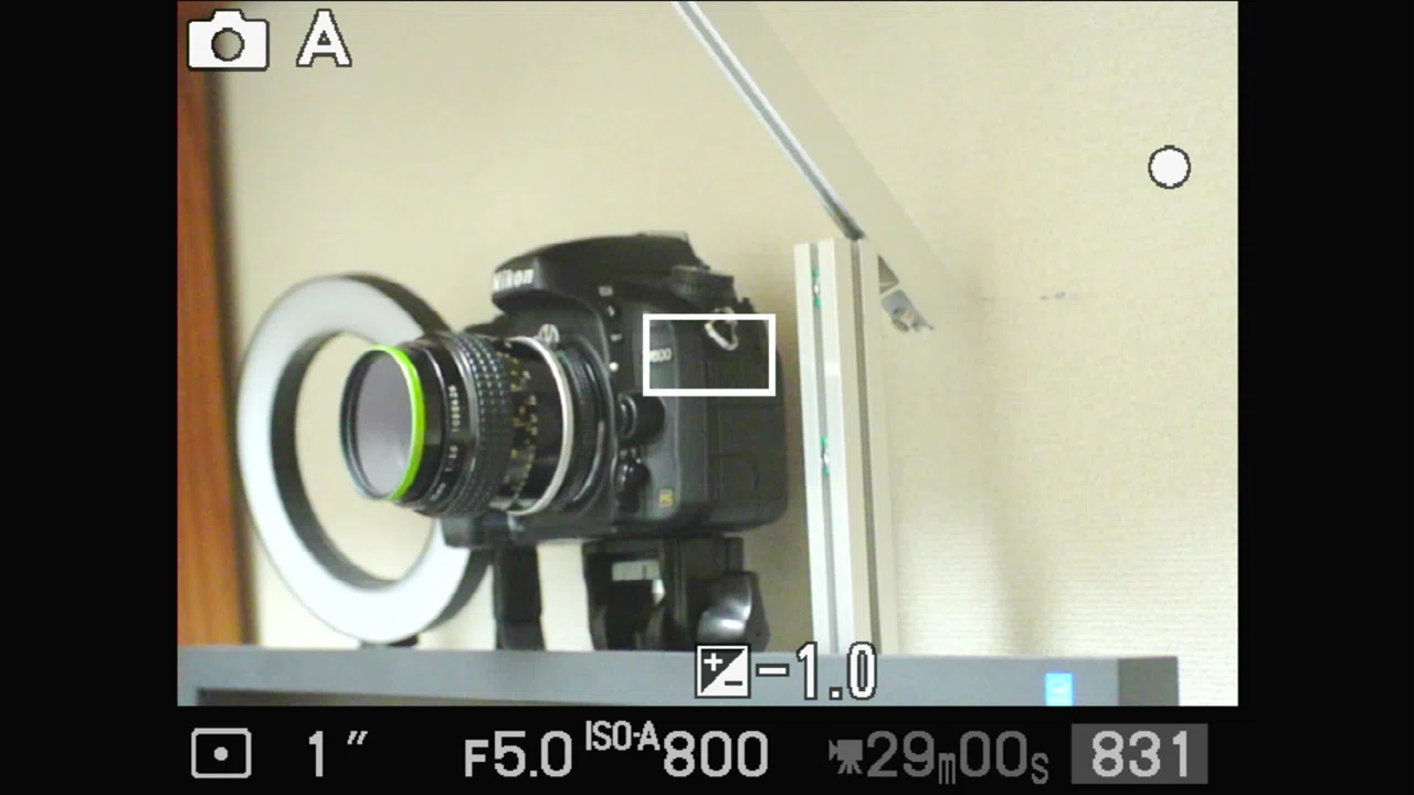 ニコワンを楽しむ;Nikon 1 V1とマウントアダプター|ザブ ニコワンを楽しむ;Nikon 1 V1とマウントアダプター|ザブ