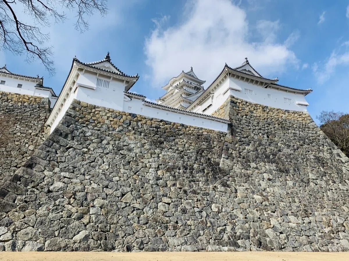 画像14