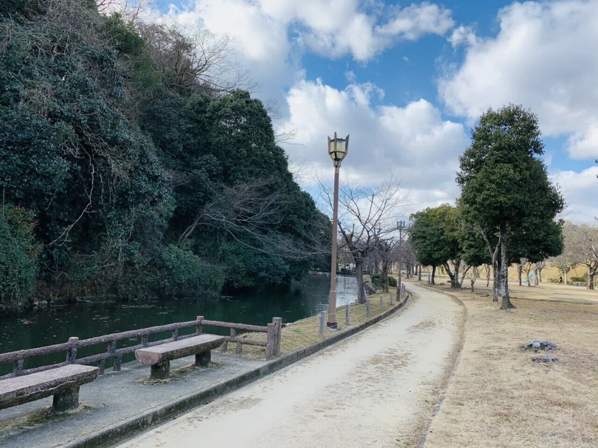 画像15