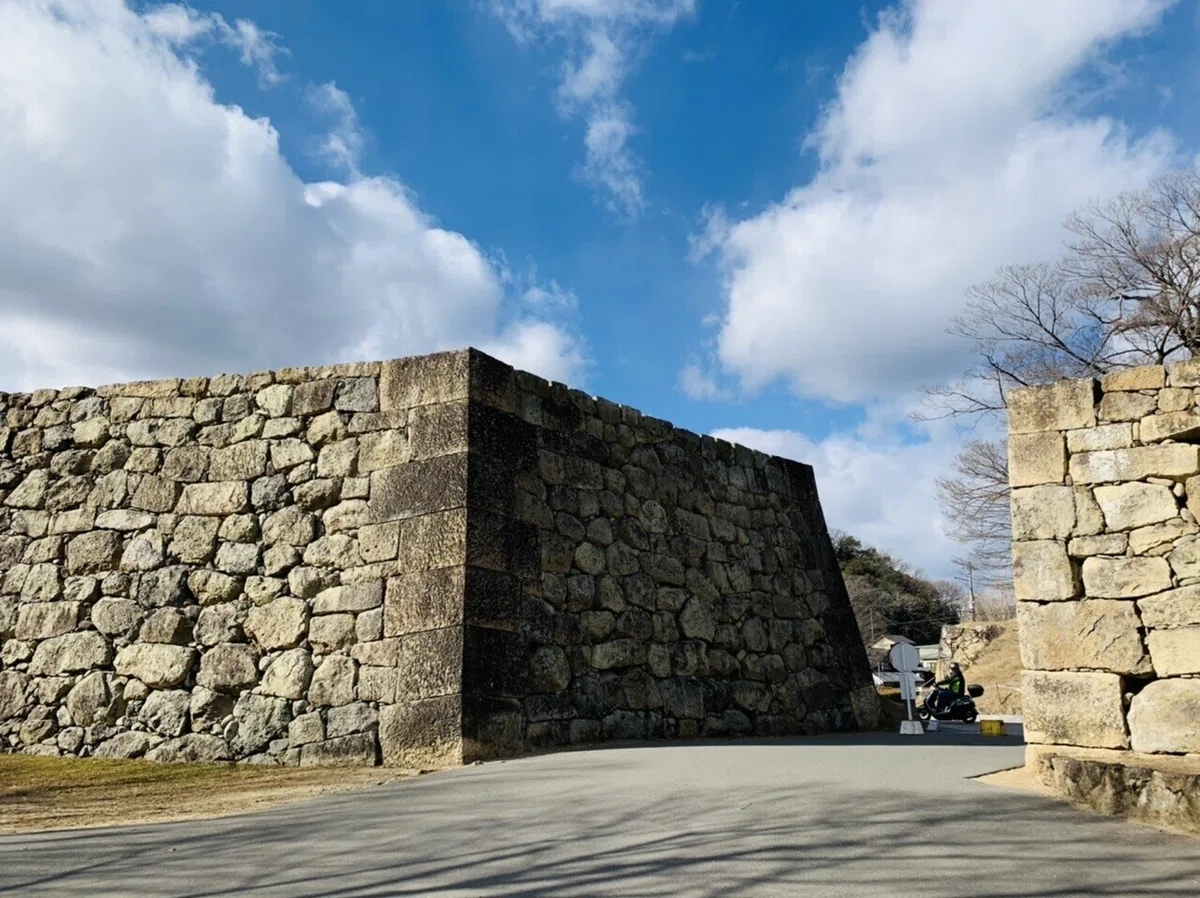 画像16