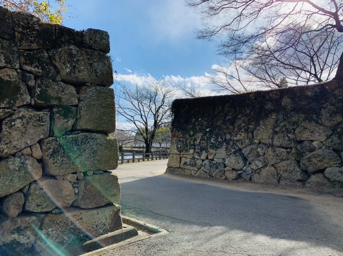 画像17