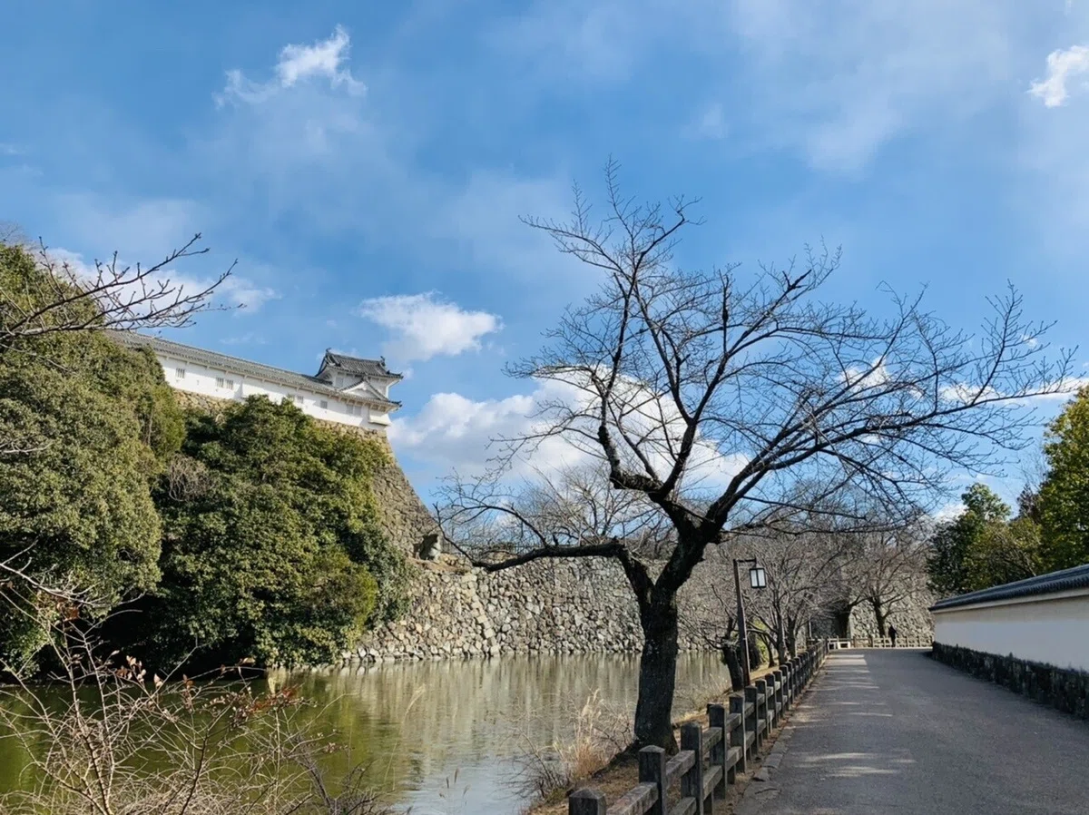 画像18