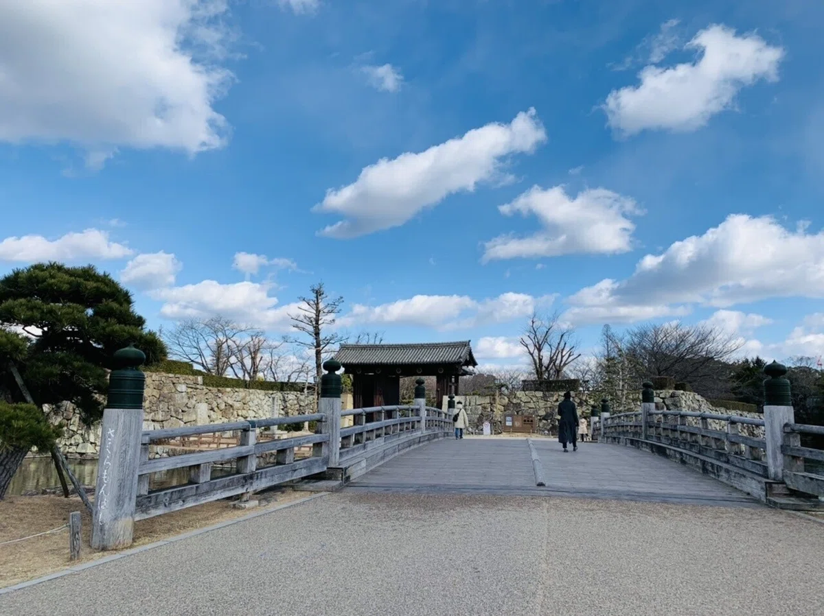 画像19