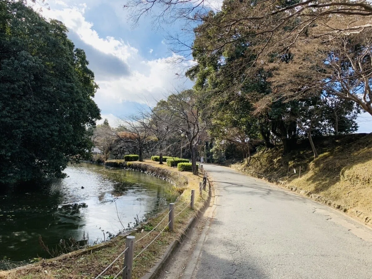 画像20