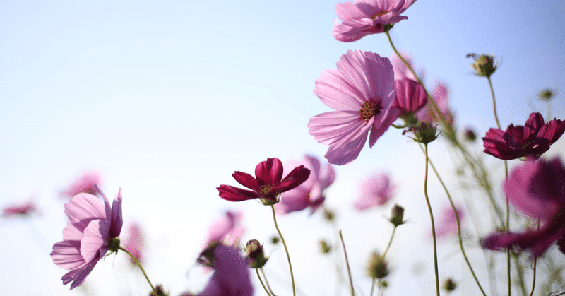 自分がされて嫌な事は人にもしない に隠された意味とは さっち note