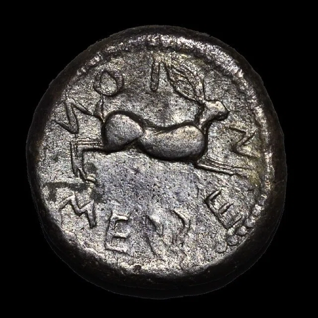 アンティークコインの世界 〜ギリシア・ローマコインの魅力〜｜Shelk🦋🗝️