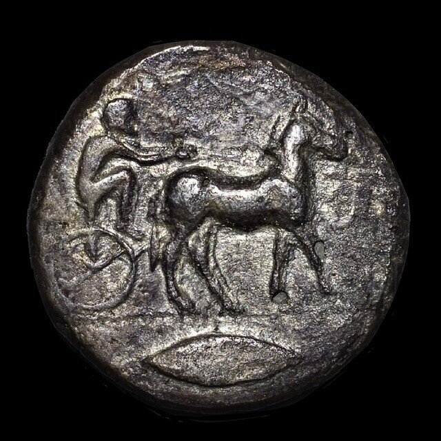 アンティークコインの世界 〜ギリシア・ローマコインの魅力〜｜Shelk🦋