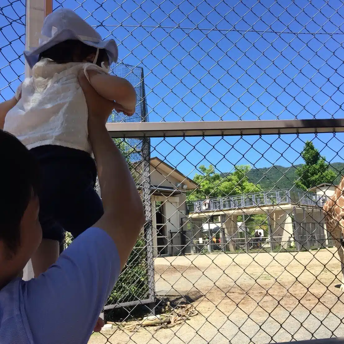つながりパパ