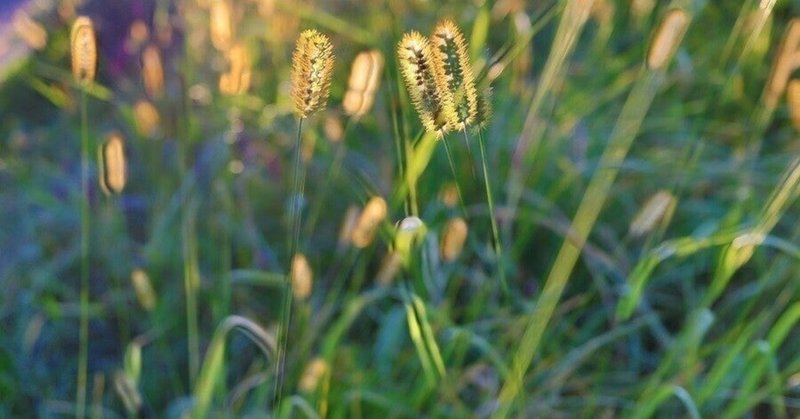 成果を出すために、"目的と条件"