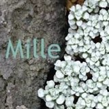 Mille