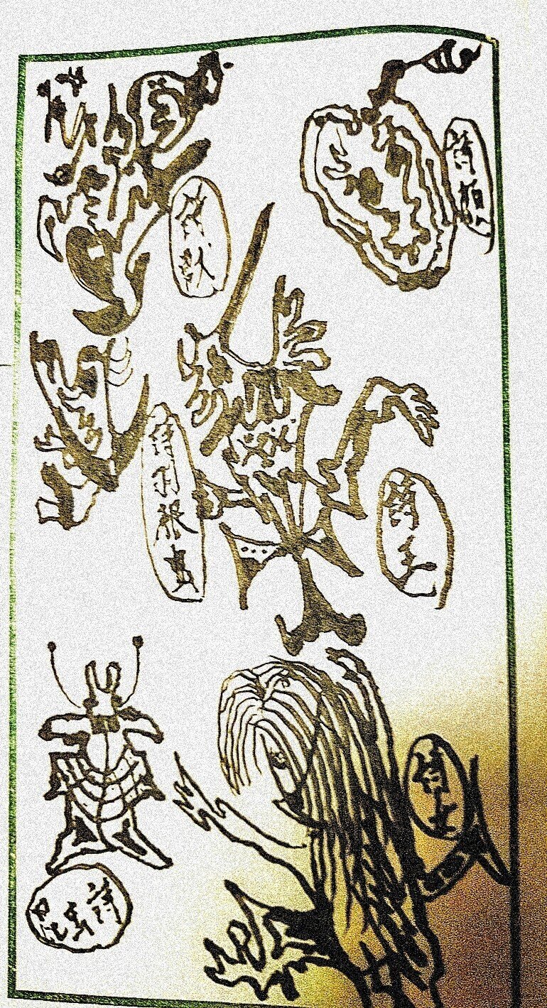 詩獣 詩顔 詩羽根虫 詩王 昆虫詩 詩女 ペン画 千葉貴史 Takashi Chiba Note