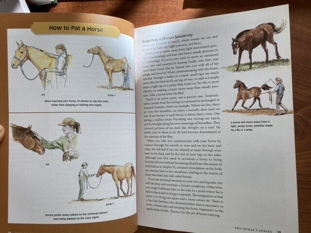 馬の本 実用書 医学書 参考書 絵本 ポニーの夢ちゃん 相互フォロバ100 Note 馬の本 実用書 医学書 参考書 絵本 ポニーの夢ちゃん 相互フォロバ100 Note