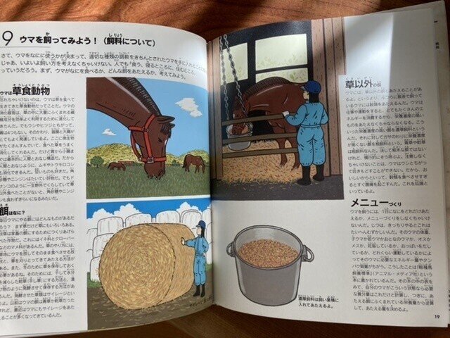 馬の本 実用書 医学書 参考書 絵本 ポニーの夢ちゃん Noteしばらくお休み Note