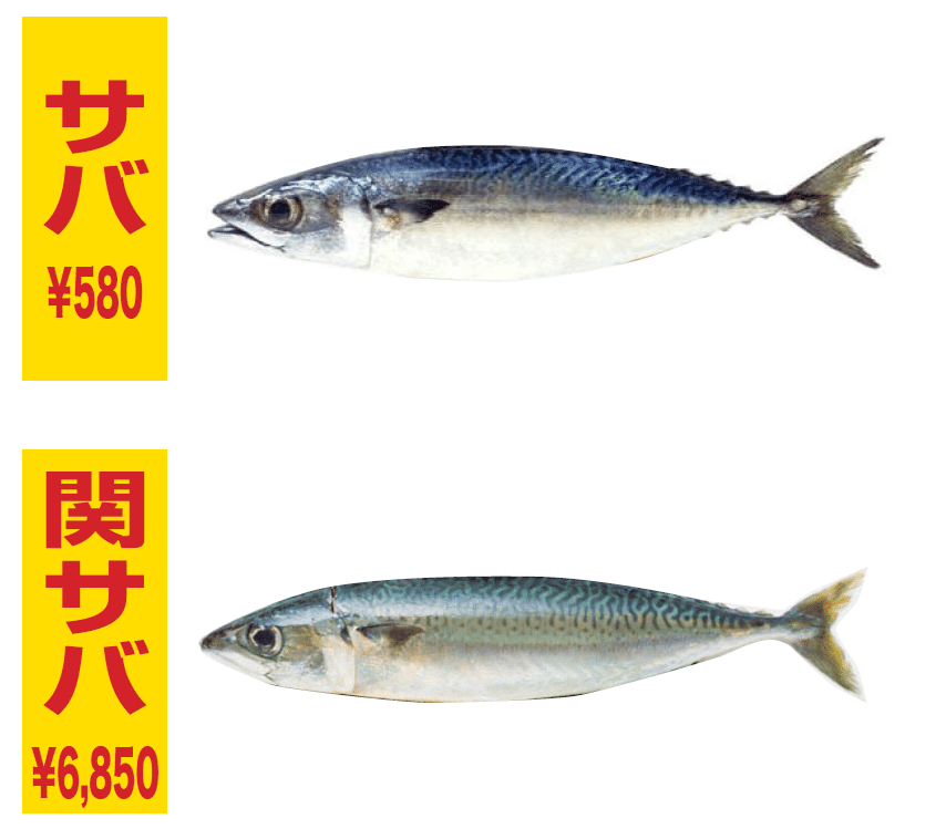 単なるサバ と 関サバ の違いとは 岩本俊幸 Note 単なるサバ と 関サバ の違いとは 岩本俊幸 Note