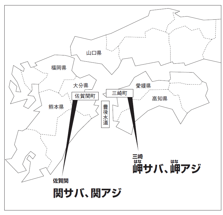 単なるサバ と 関サバ の違いとは 岩本俊幸 Note 単なるサバ と 関サバ の違いとは 岩本俊幸 Note