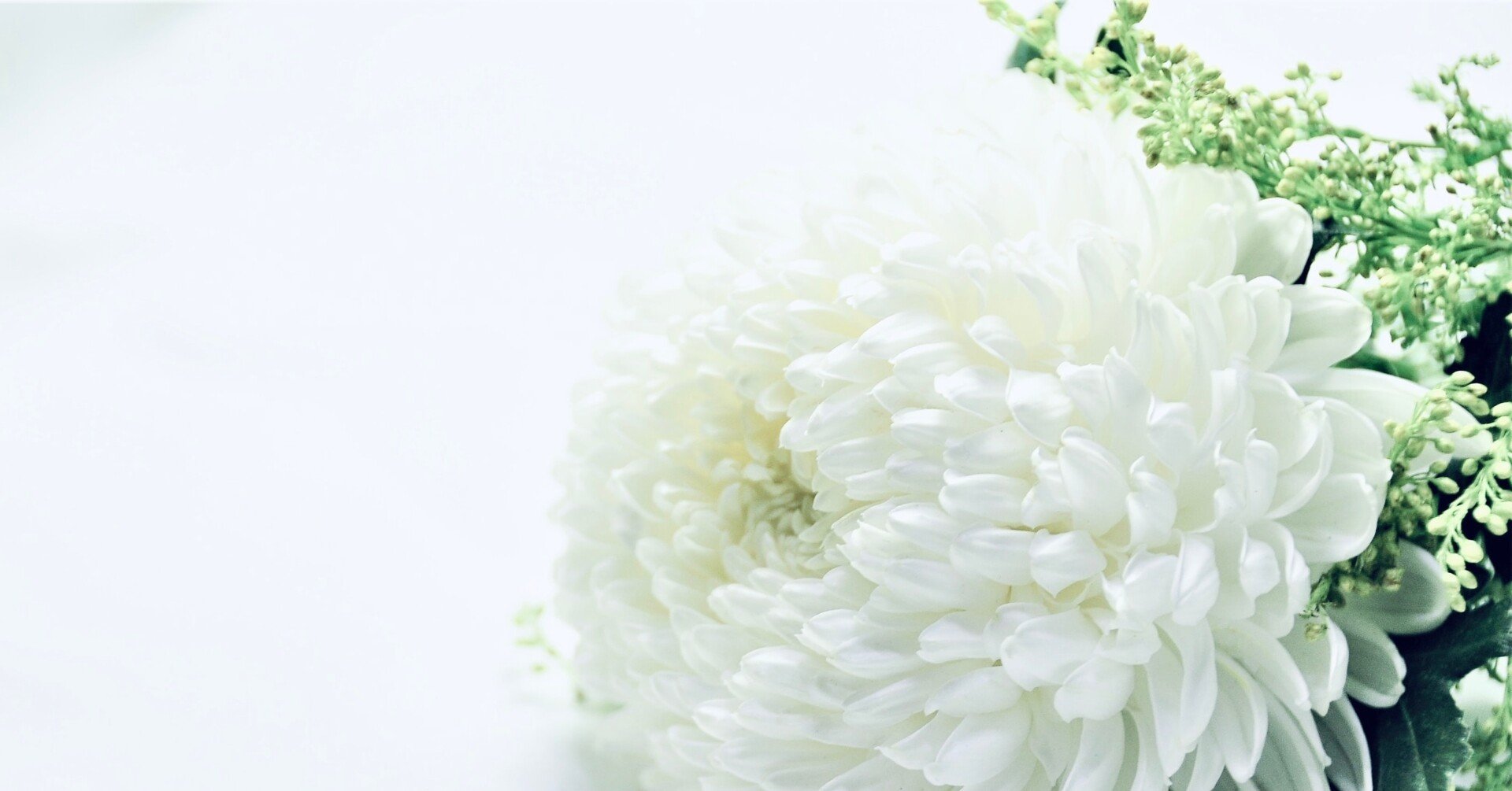 ヒーリー取扱説明書 日本語版 ダウンロードページ｜Healy Group