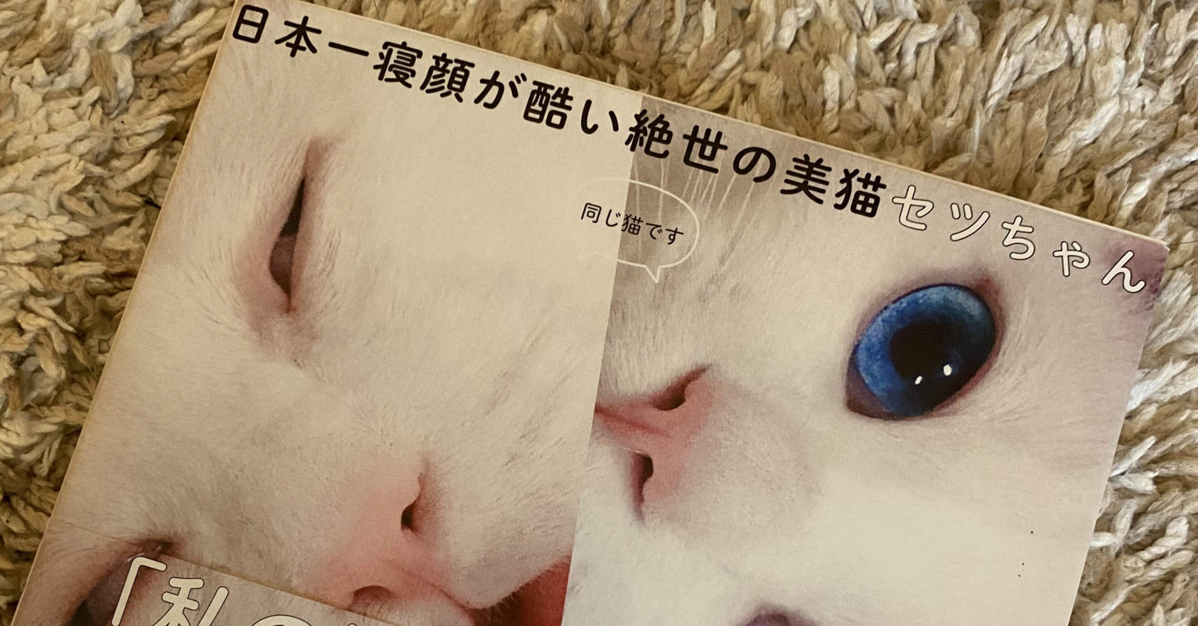 華麗 日本一寝顔が酷い絶世の美猫セツちゃん ｍｉｎｏ 著者