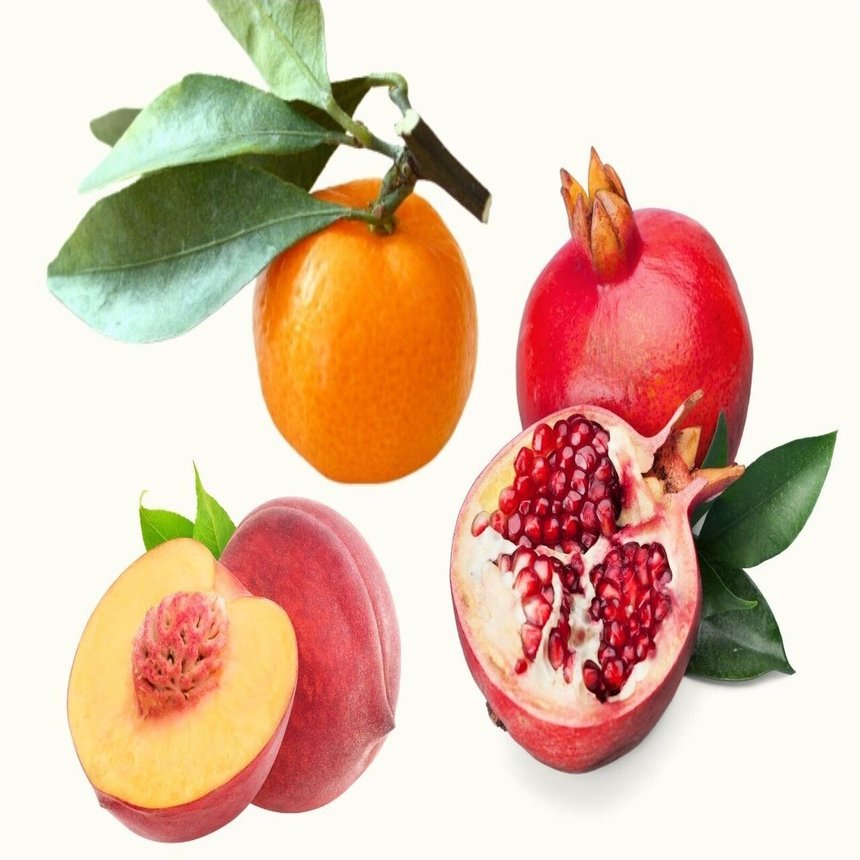 女性のしあわせを願う贈りものにおすすめ 幸せを導くフルーツ 三柑 さんかん の実 とは フルーツギフト専門店 蝶結び 果物 食べくらべ 贈答 Note