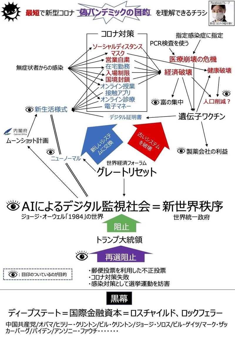 最短で新型コロナ偽パンデミックの目的を理解できるチラシ (1)