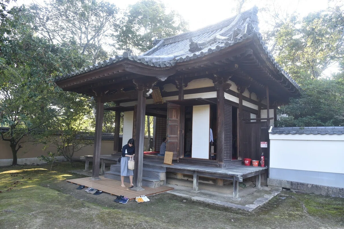 画像6