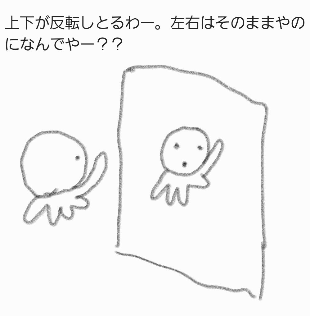 鏡はなぜ上下が反転しないのか Todomadogiwa Note