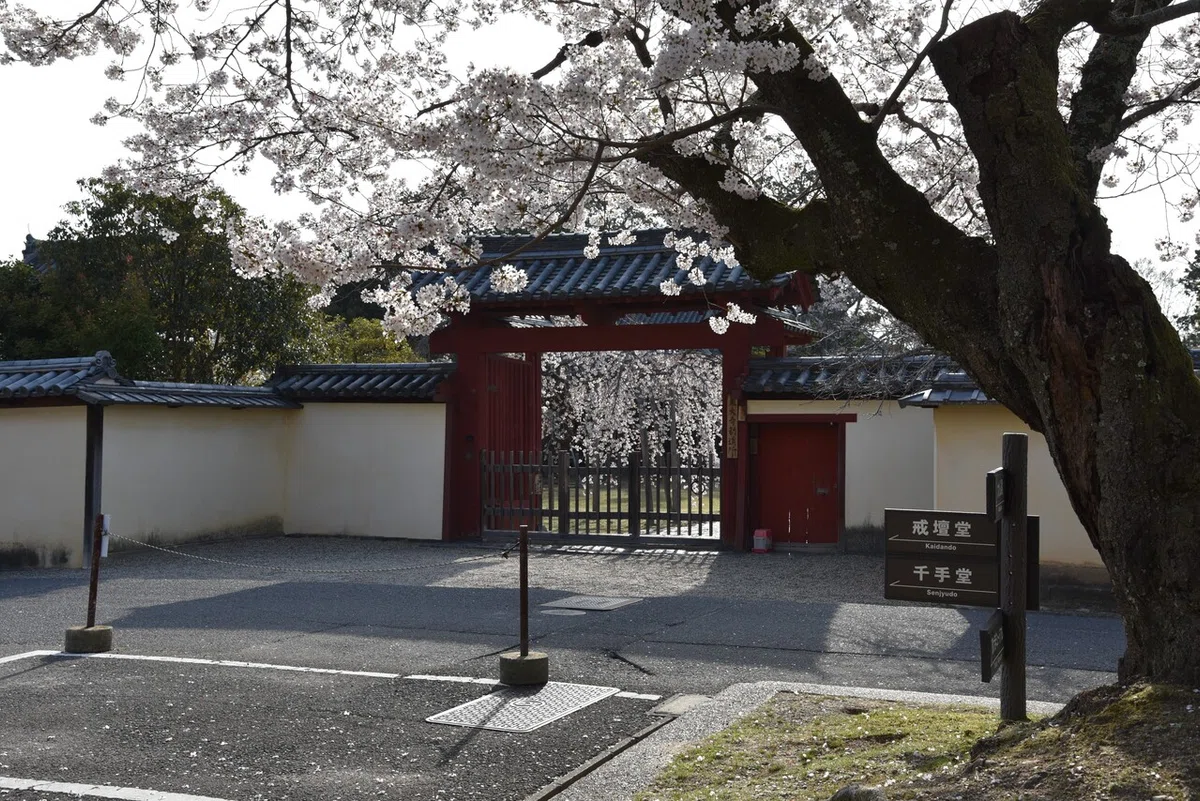画像8