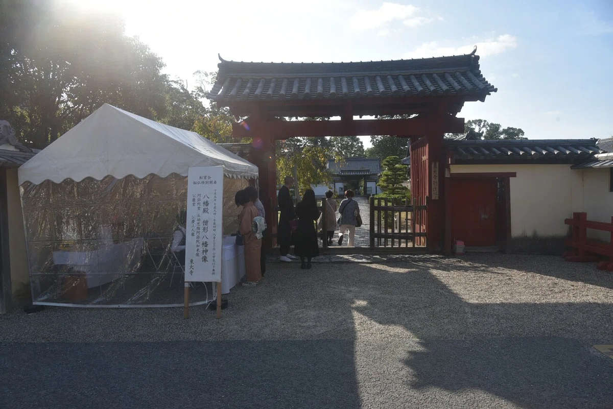画像9