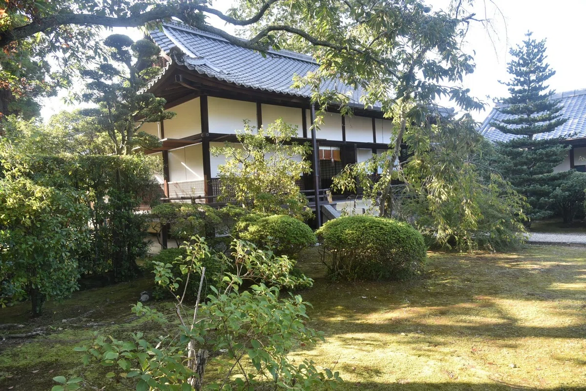 画像10