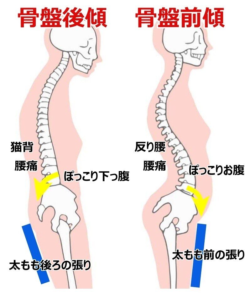 新しい季節 骨盤職人