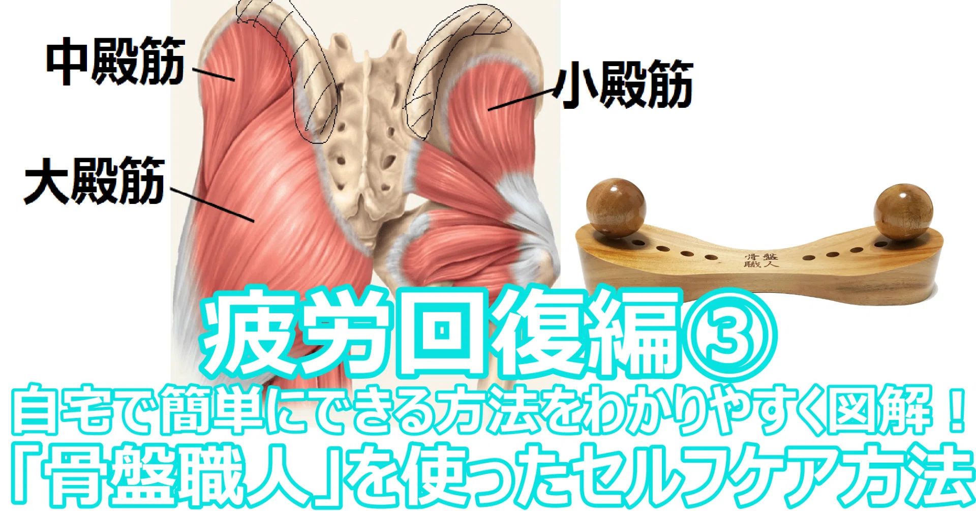 筋トレ疲労回復編③図解！自宅でできる、骨盤職人を使ったセルフケア