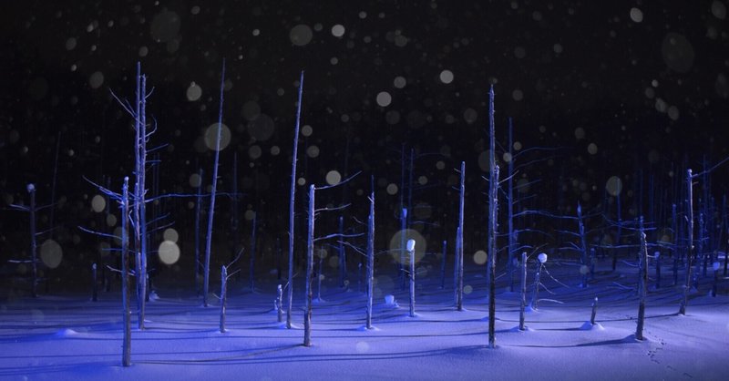 サウンド オブ サイレンス サイモン ガーファンクル Hisataroh358 Note