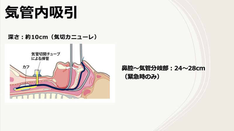 スクリーンショット 2021-01-10 19.46.04