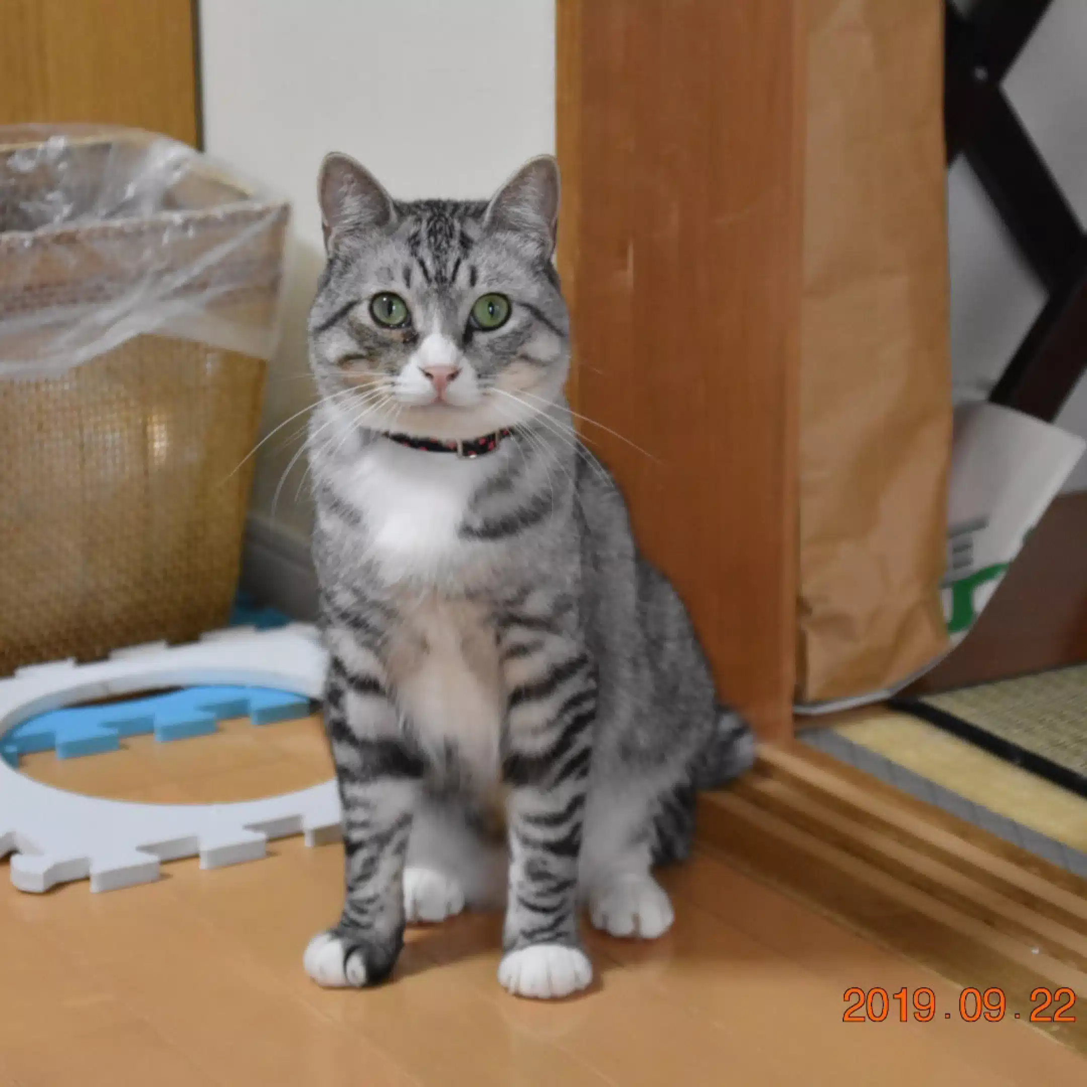 相続のご相談　FPうえちゃん55
