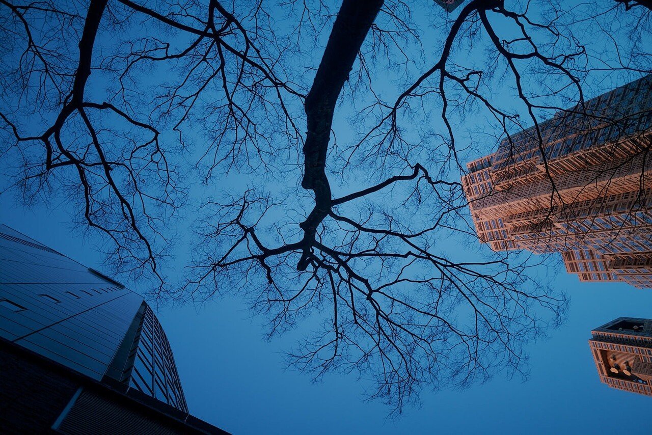 365日ライカ：234 ライカQ2とブラックミスト｜#365leica