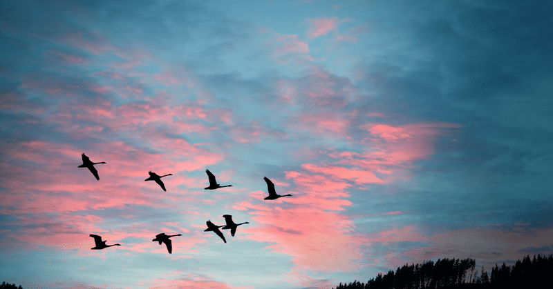 歌詞和訳 Birds Imagine Dragons Marie Note 歌詞和訳 Birds Imagine Dragons Marie Note
