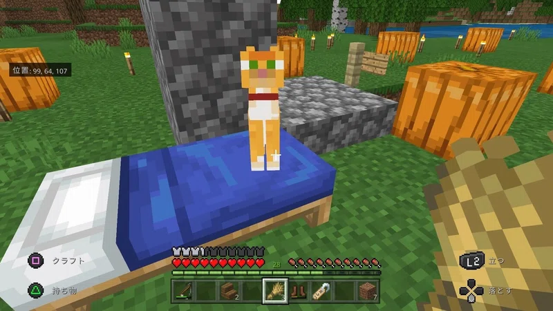 マイクラさん かわいい ふわふわ療法 Note