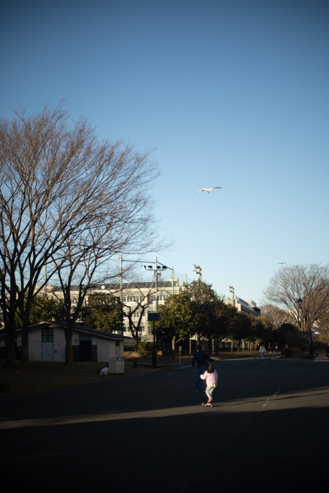 YASHICA AUTO YASHINON-DX 50mm F1.4 × ストリート｜PS2U