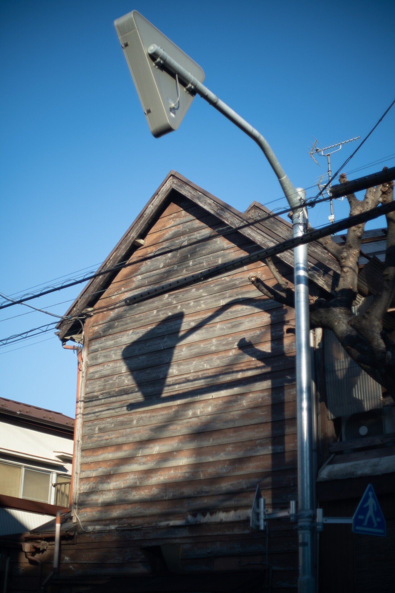 YASHICA AUTO YASHINON-DX 50mm f/1.7(作例） 富岡レンズを味わう、AUTO YASHINON DS-M 50mm f1.7（レビュー＆作例