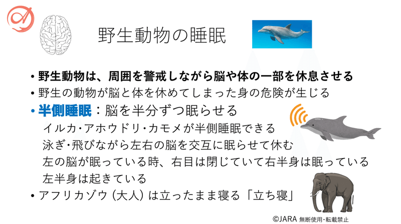 スクリーンショット 2021-01-10 午後11.30.54