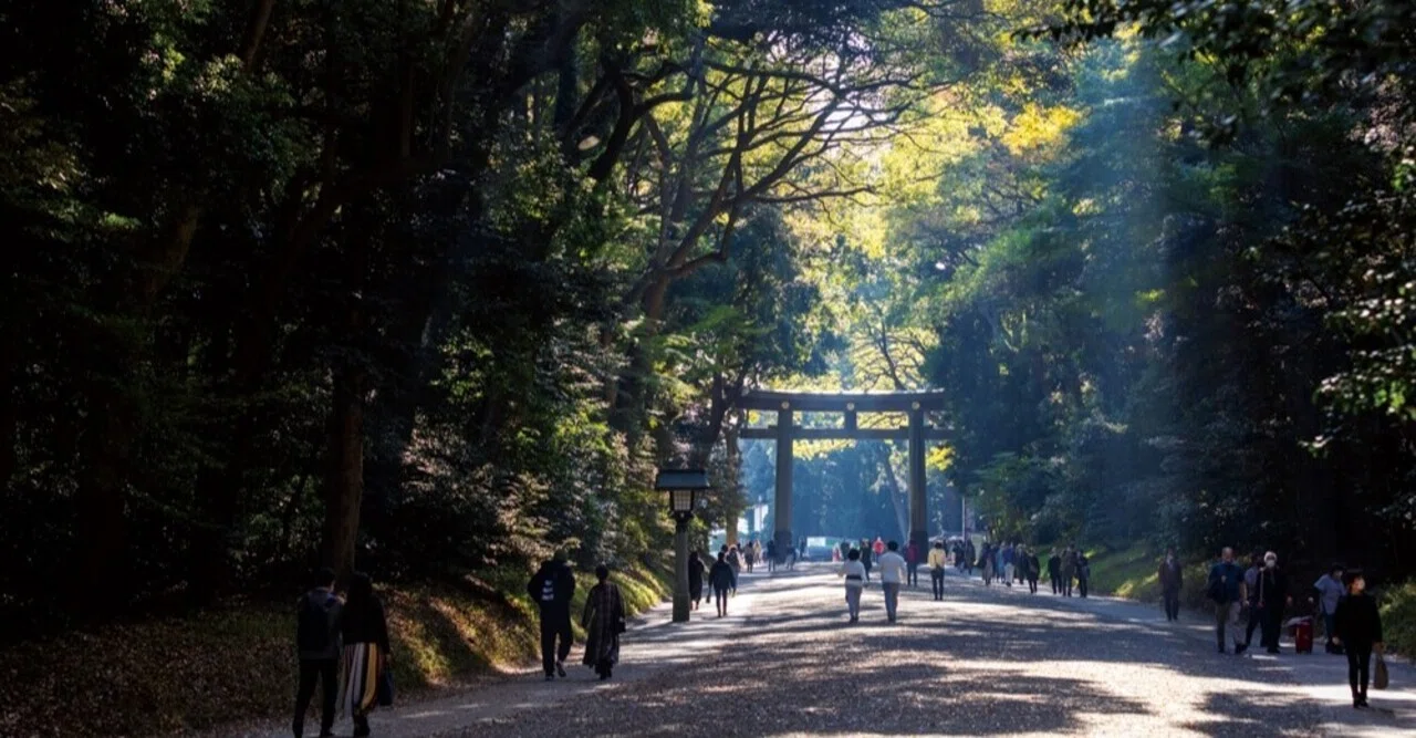 永遠の杜（もり）