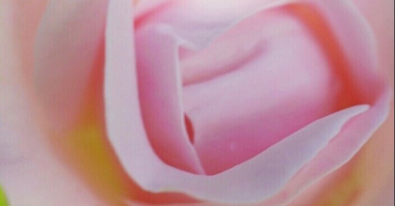 棘が少ない薔薇 の新着タグ記事一覧 Note つくる つながる とどける 棘が少ない薔薇 の新着タグ記事一覧 Note つくる つながる とどける