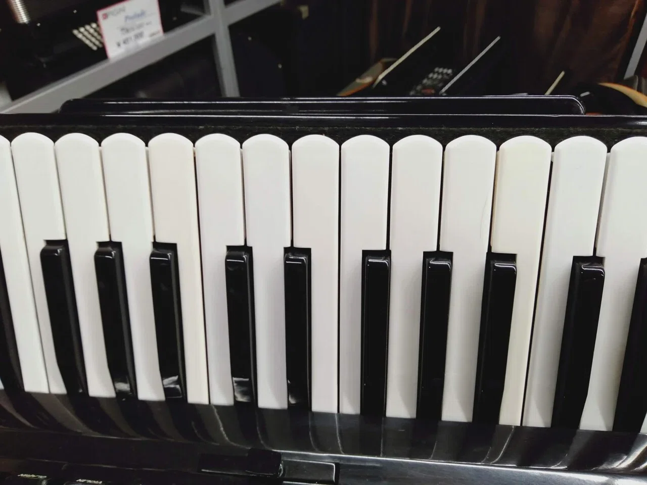 中古】Excelsior Continental｜アコーディオン横丁