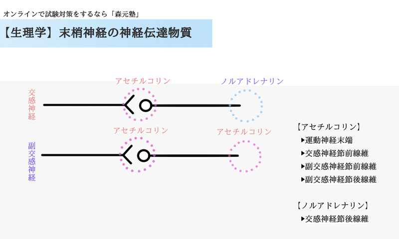 ノルアドレナリン アドレナリン と アドレナリンとノルアドレナリンの違いとは？名前は似てても作用する場所や生成される場所が違う