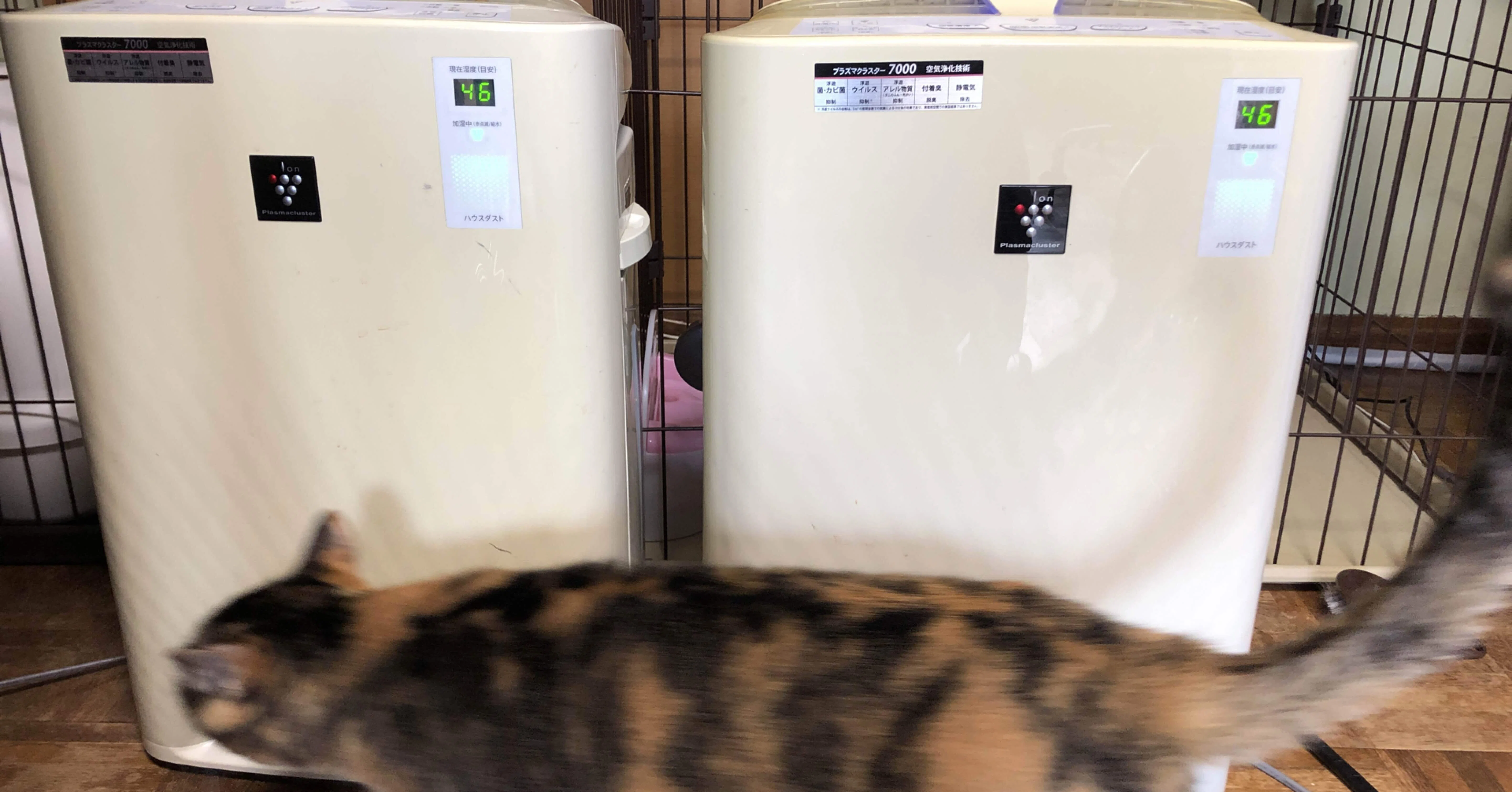 プラズマクラスター 加湿空気清浄機 掃除 ちぃ Note