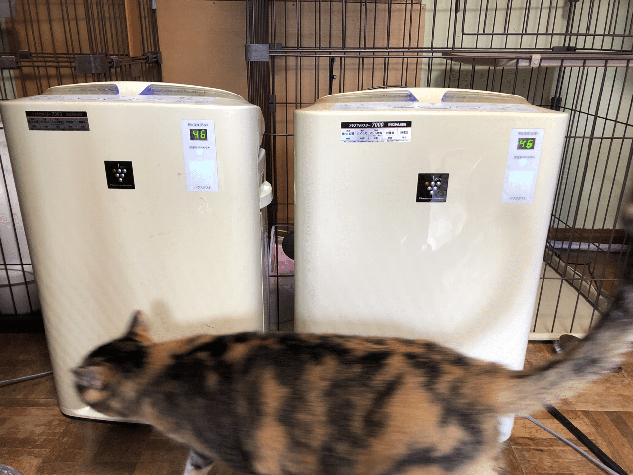 プラズマクラスター 加湿空気清浄機 掃除 ちぃ Note