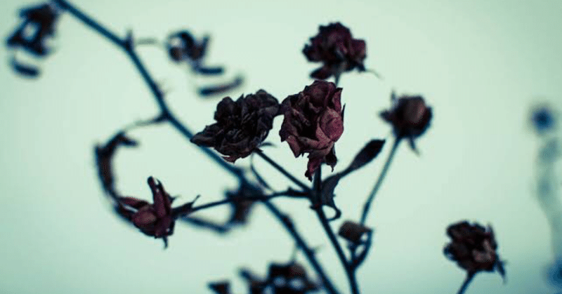 歌詞 枯れた花 朔neko 毎日note 相互フォロー100 Note